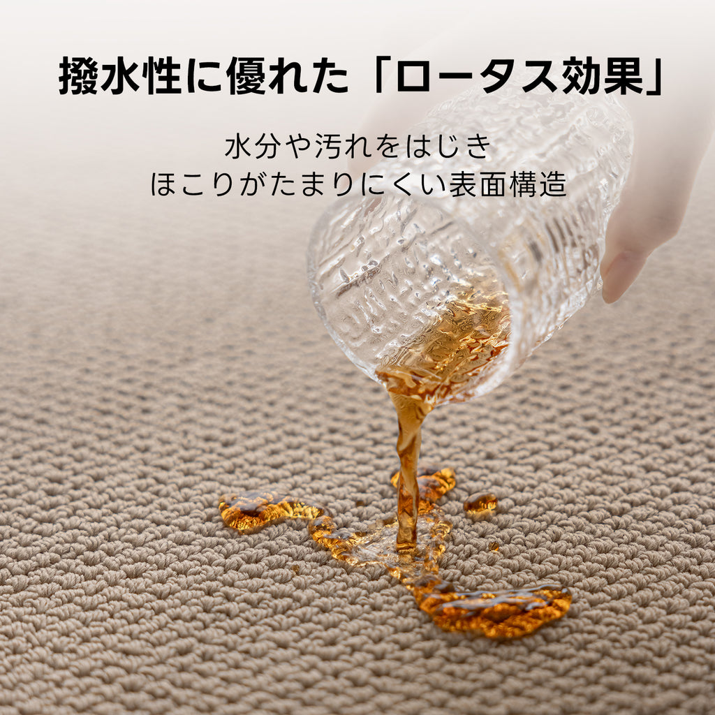 ナチュラルサンドラグ